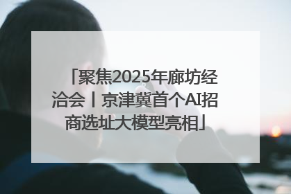 聚焦2025年廊坊经洽会丨京津冀首个AI招商选址大模型亮相