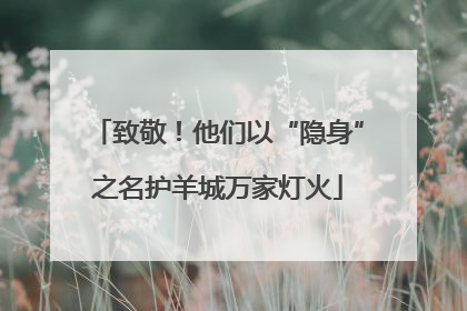 致敬！他们以“隐身”之名护羊城万家灯火