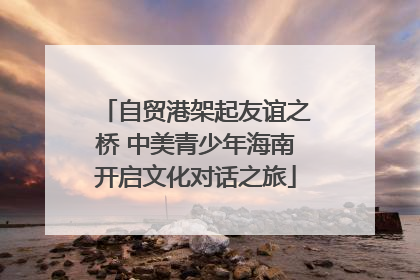 自贸港架起友谊之桥 中美青少年海南开启文化对话之旅