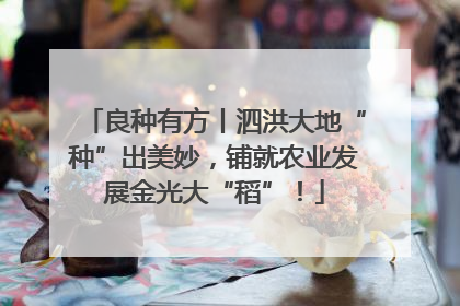 良种有方丨泗洪大地“种”出美妙，铺就农业发展金光大“稻”！