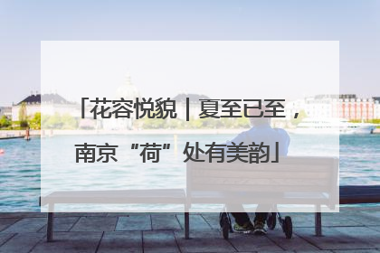 花容悦貌｜夏至已至，南京“荷”处有美韵