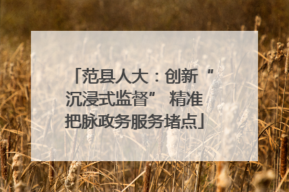 范县人大：创新“沉浸式监督” 精准把脉政务服务堵点