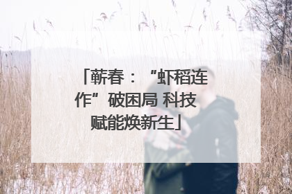 蕲春：“虾稻连作”破困局 科技赋能焕新生