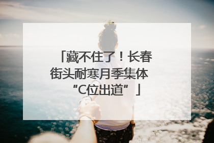藏不住了！长春街头耐寒月季集体“C位出道”