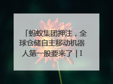 蚂蚁集团押注，全球仓储自主移动机器人第一股要来了｜IPO直通车