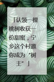 认领一棵桃树收获一份甜蜜，宁乡这个村邀你成为“树主”