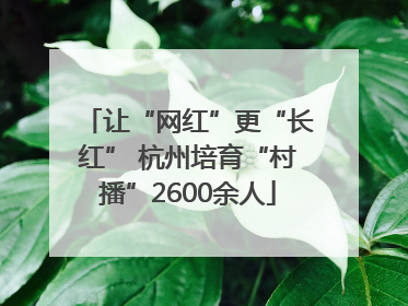 让“网红”更“长红” 杭州培育“村播”2600余人
