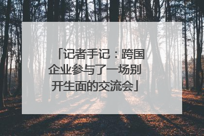 记者手记：跨国企业参与了一场别开生面的交流会