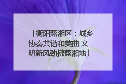 衡阳蒸湘区：城乡协奏共谱和美曲 文明新风劲拂蒸湘地
