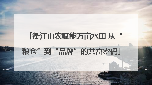 衢江山农赋能万亩水田 从“粮仓”到“品牌”的共富密码
