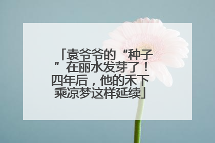 袁爷爷的“种子”在丽水发芽了！四年后，他的禾下乘凉梦这样延续
