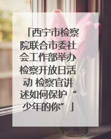西宁市检察院联合市委社会工作部举办检察开放日活动 检察官讲述如何保护“少年的你”