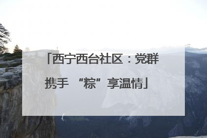 西宁西台社区：党群携手 “粽”享温情