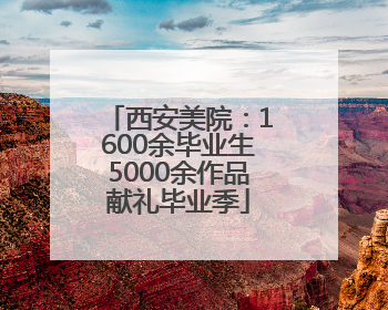 西安美院：1600余毕业生5000余作品献礼毕业季