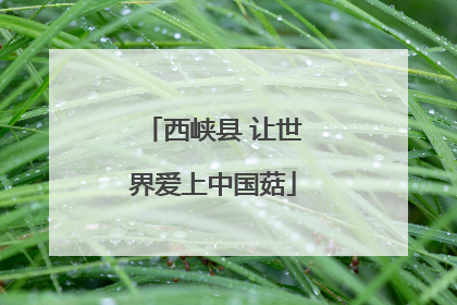 西峡县 让世界爱上中国菇