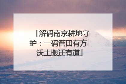 解码南京耕地守护：一码管田有方 沃土搬迁有道
