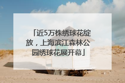 近5万株绣球花绽放，上海滨江森林公园绣球花展开幕