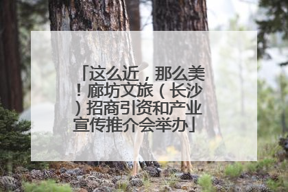这么近，那么美！廊坊文旅（长沙）招商引资和产业宣传推介会举办