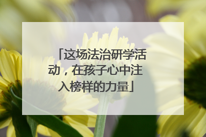这场法治研学活动，在孩子心中注入榜样的力量