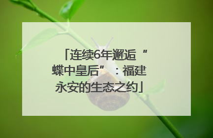 连续6年邂逅“蝶中皇后”：福建永安的生态之约