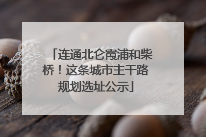连通北仑霞浦和柴桥！这条城市主干路规划选址公示
