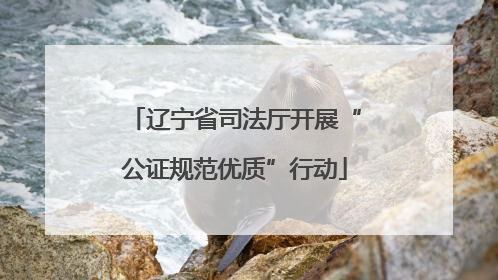 辽宁省司法厅开展“公证规范优质”行动