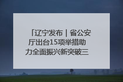 辽宁发布｜省公安厅出台15项举措助力全面振兴新突破三年行动决胜之战