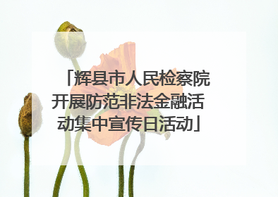 辉县市人民检察院开展防范非法金融活动集中宣传日活动