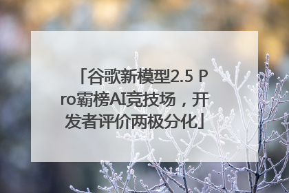 谷歌新模型2.5 Pro霸榜AI竞技场，开发者评价两极分化