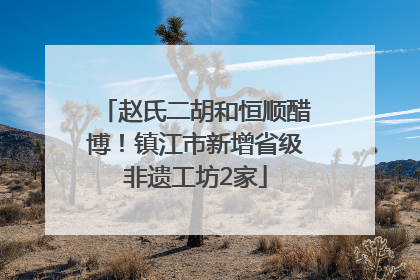 赵氏二胡和恒顺醋博！镇江市新增省级非遗工坊2家