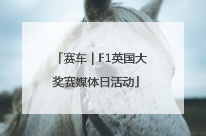 赛车｜F1英国大奖赛媒体日活动