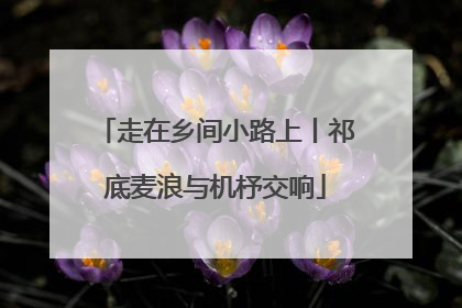 走在乡间小路上丨祁底麦浪与机杼交响