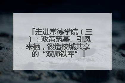 走进常德学院（三）：政策筑基、引凤来栖，锻造校城共享的“双师铁军”