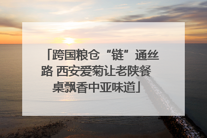 跨国粮仓“链”通丝路 西安爱菊让老陕餐桌飘香中亚味道
