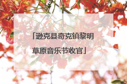 逊克县奇克镇黎明草原音乐节收官