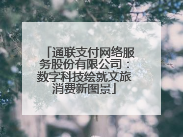 通联支付网络服务股份有限公司：数字科技绘就文旅消费新图景