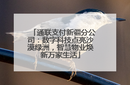 通联支付新疆分公司：数字科技点亮沙漠绿洲，智慧物业焕新万家生活