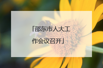 邵东市人大工作会议召开