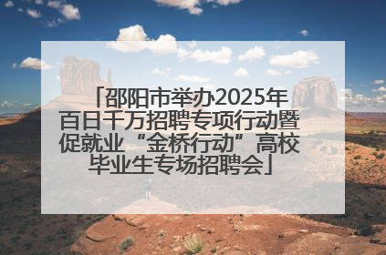 邵阳市举办2025年百日千万招聘专项行动暨促就业“金桥行动”高校毕业生专场招聘会