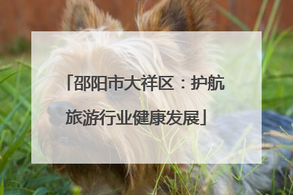 邵阳市大祥区：护航旅游行业健康发展