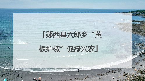 郧西县六郎乡“黄板护椒”促绿兴农