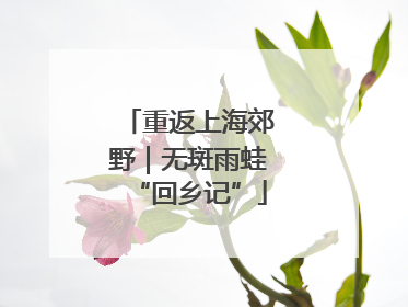 重返上海郊野｜无斑雨蛙“回乡记”