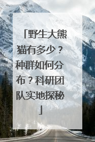 野生大熊猫有多少？种群如何分布？科研团队实地探秘
