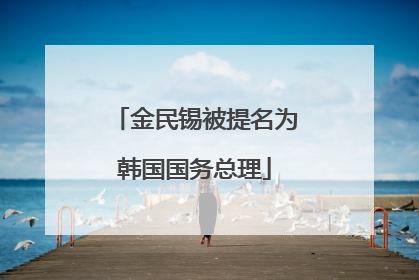 金民锡被提名为韩国国务总理