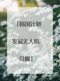 韩国计划发展无人机母舰