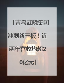 青岛武晓集团冲刺新三板！近两年营收均超20亿元