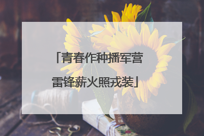 青春作种播军营 雷锋薪火照戎装