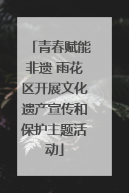 青春赋能非遗 雨花区开展文化遗产宣传和保护主题活动
