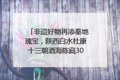 非遗好物再添秦地瑰宝，陕西白水杜康十三朝酒海陈藏30年别具一格