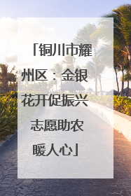 铜川市耀州区：金银花开促振兴 志愿助农暖人心